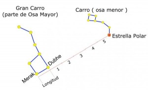 osa mayor