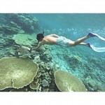 Entrevista a Miguel y Mercedes (Ser Movimiento) 6