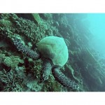 Entrevista a Miguel y Mercedes (Ser Movimiento) 5