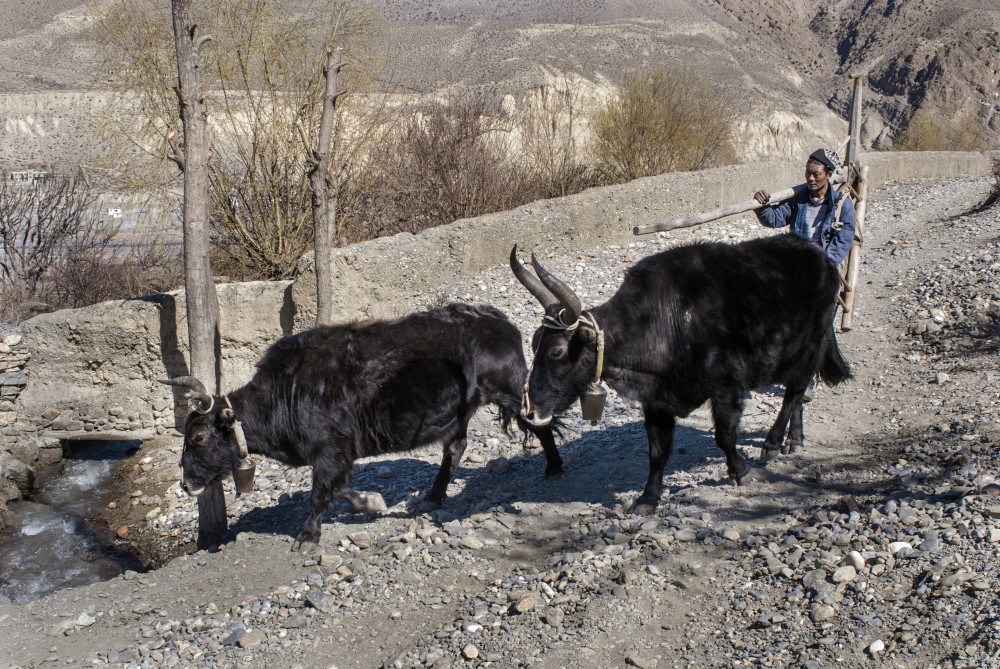 ¿Por qué elegir fotoMundos? 1 ¿Por qué elegir fotoMundos? 1
