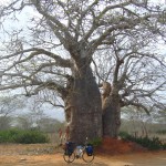 Entrevista a Salva Rodríguez, 9 años viajando en bici (1ª parte) 10 Entrevista a Salva Rodríguez, 9 años viajando en bici (1ª parte) 10