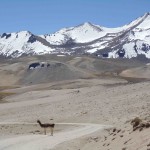 Entrevista a Salva Rodríguez, 9 años viajando en bici (1ª parte) 36 Entrevista a Salva Rodríguez, 9 años viajando en bici (1ª parte) 36