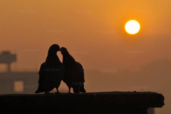 Resumen del último viaje fotográfico a Nepal Oculto 7 viaje fotográfico nepal