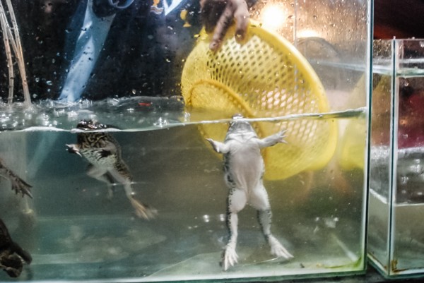 10 consejos para viajar a Vietnam 5 vietnam