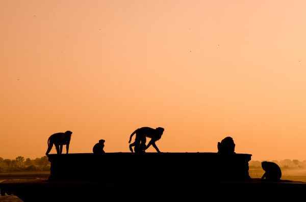 viaje fotografico india vrindavan