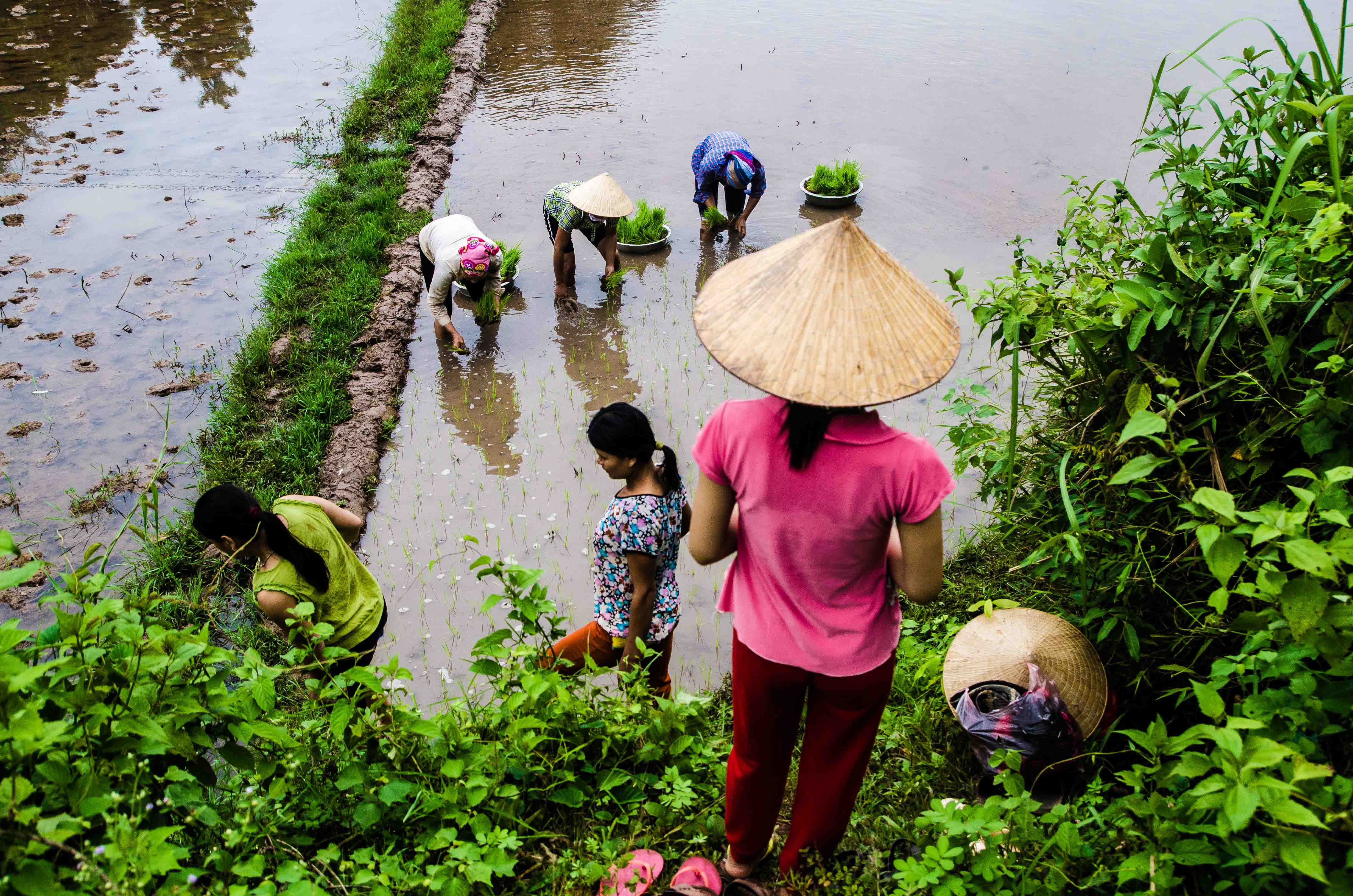 resumen viaje fotográfico vietnam y camboya