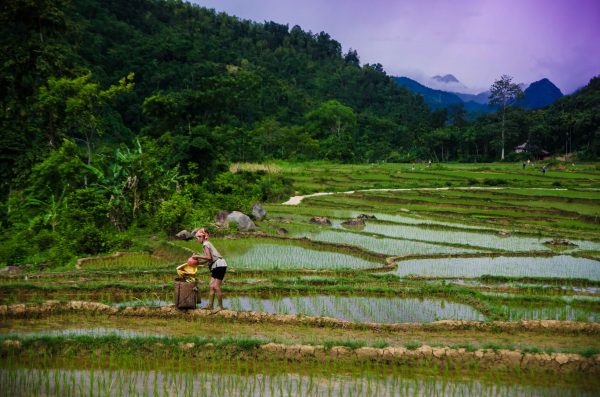 resumen viaje fotográfico vietnam camboya