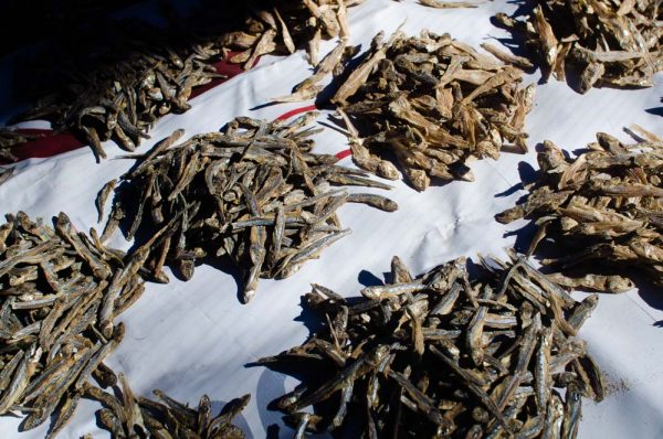 Lo primero que hago cuando vuelvo a casa (o cómo evitar la diarrea) 3 cómo evitar la diarrea