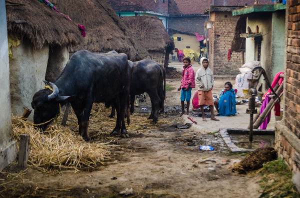 viaje fotográfico nepal