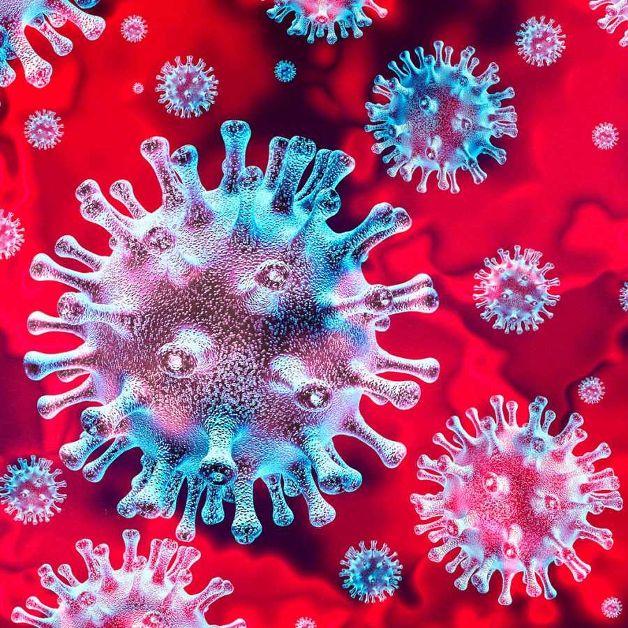 coronavirus