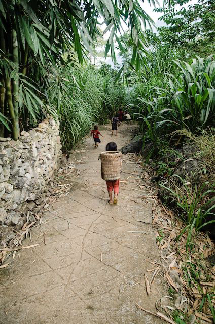 ¡¡Yo también quiero jugar!!