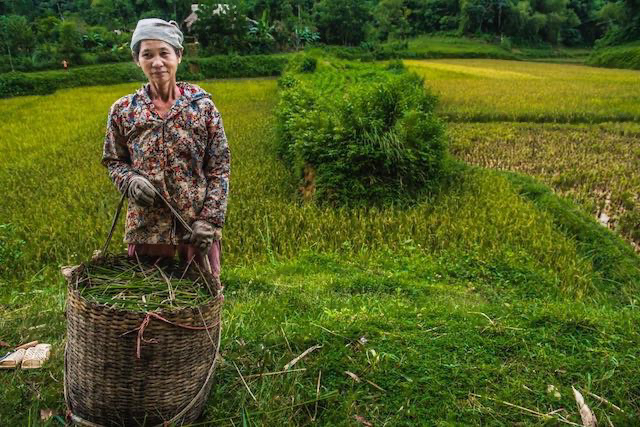 Aquí tienes el truco que te prometí ayer 3 Aquí tienes el truco que te prometí ayer 3