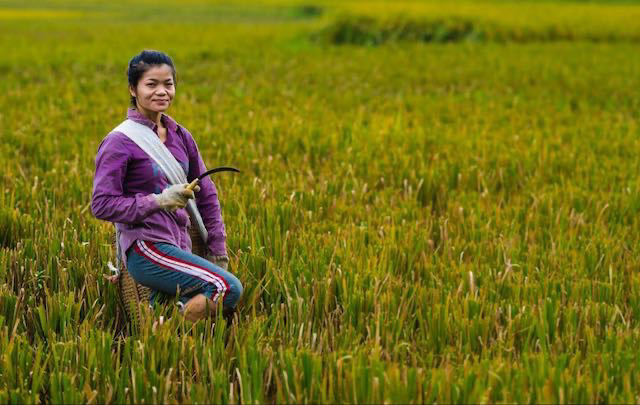 Aquí tienes el truco que te prometí ayer