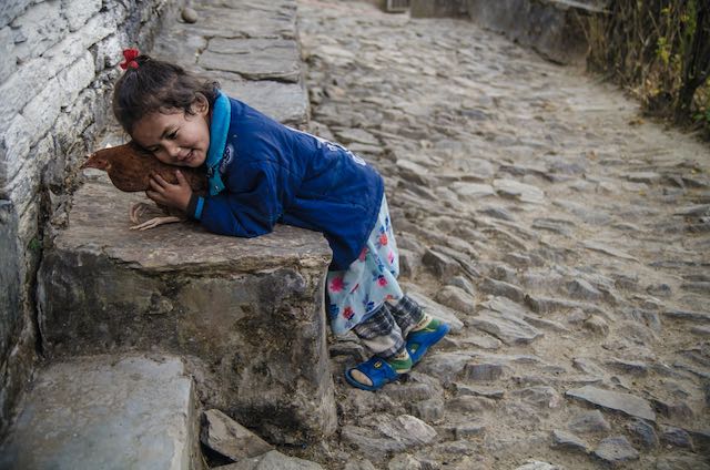 viajar a nepal