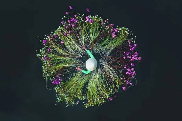 fotomundos delta del mekong